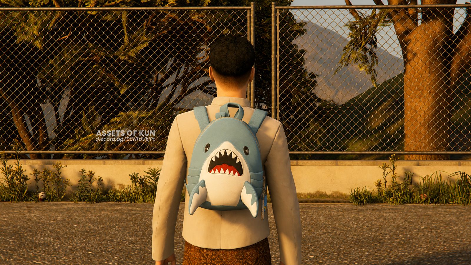 Tas Shark