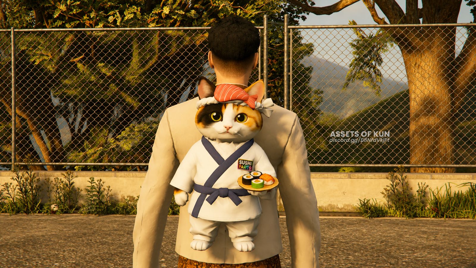 Tas Sushi Cat