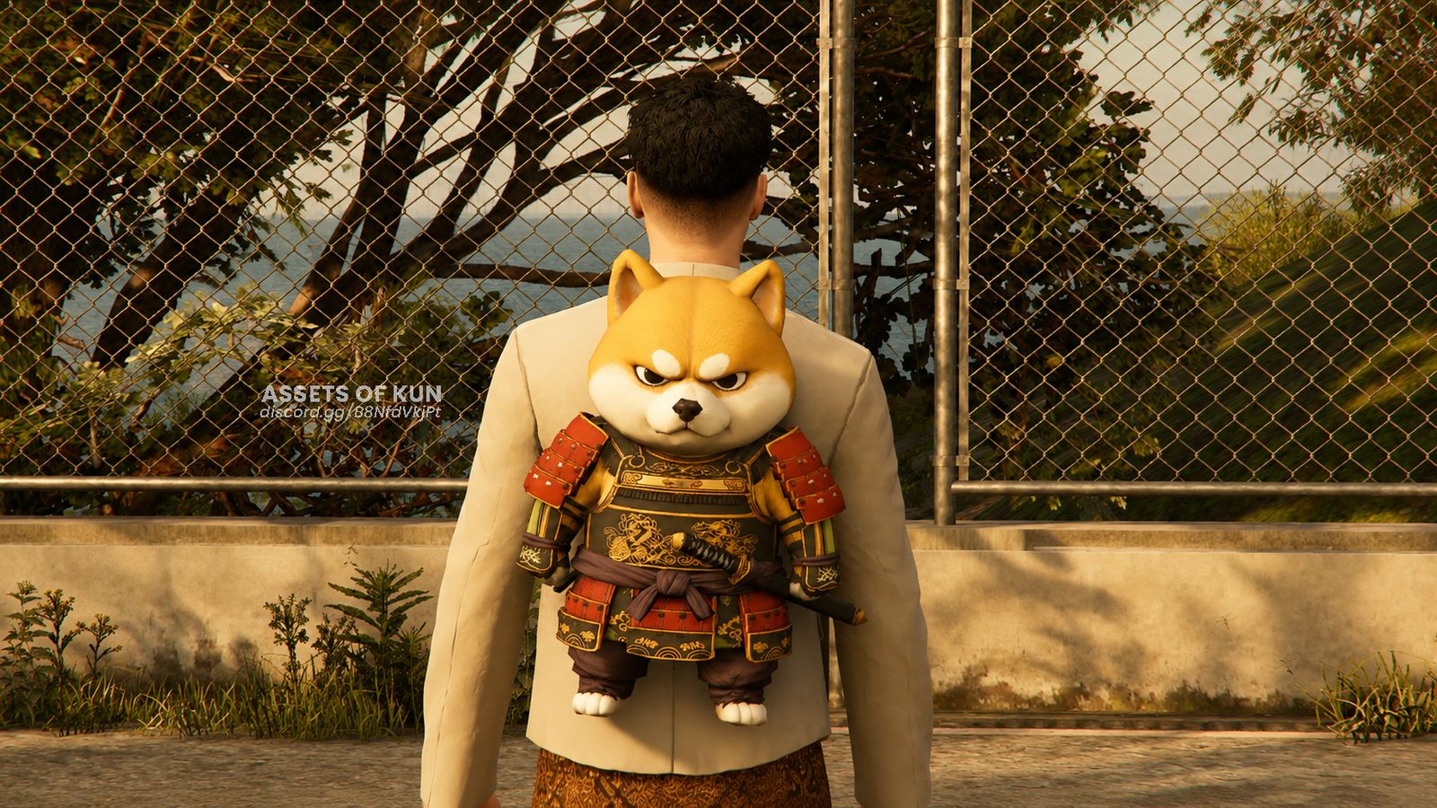 Tas Shiba